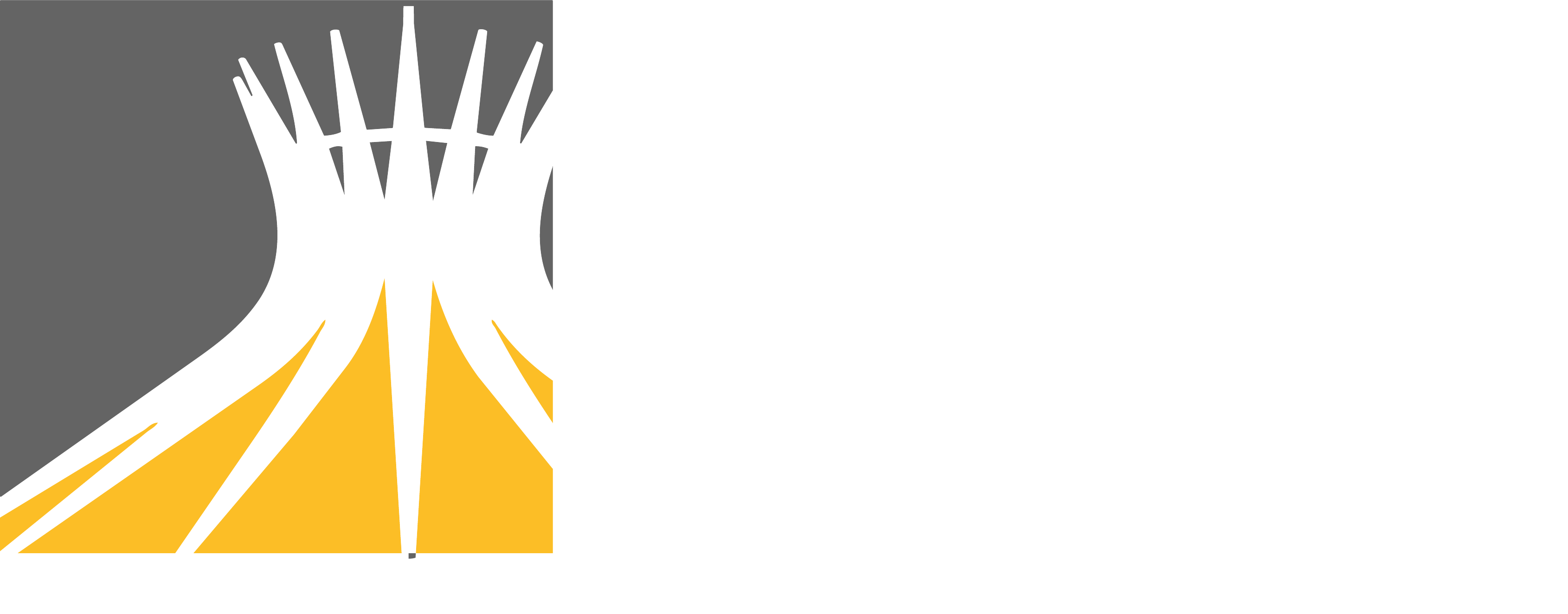Perita Tirotti